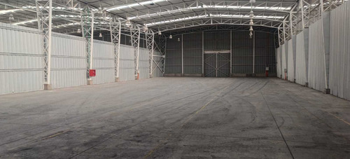 Bodega C: 540 M2 (100880)