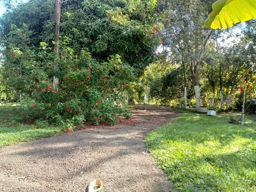 Chácara 2.500 M² - Morungava - Gravataí - Rs - 1657 - 32420178