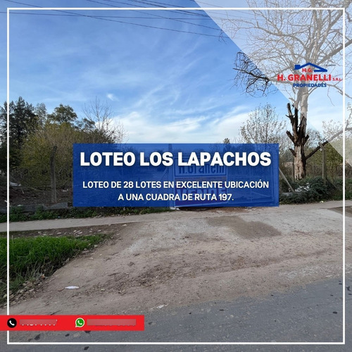 Los Lapachos