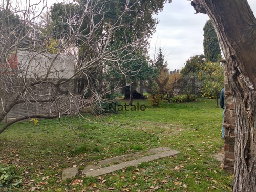 Imagen 11 de 14 de Lote En Venta. 524 E/ 134 Y 135. San Carlos, La Plata