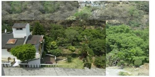 Imagen 1 de 3 de Se Vende Terreno, Club Golf Cuernavaca