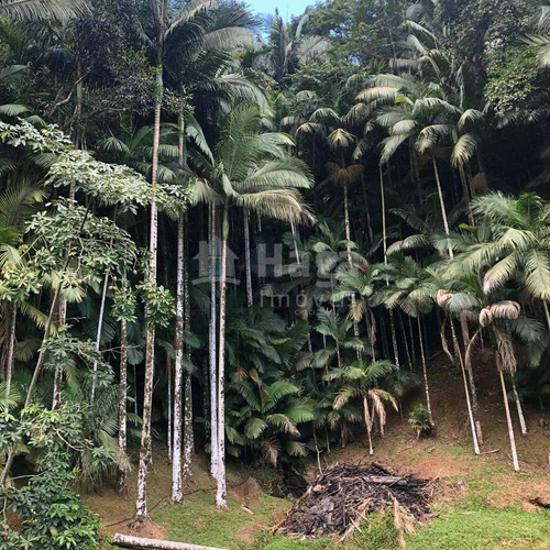 Imagem 13 de 30 de Chácara À Venda Em Gaspar/sc - 1756c
