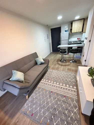 Departamento En Arriendo 1 Dormitorio En Collao