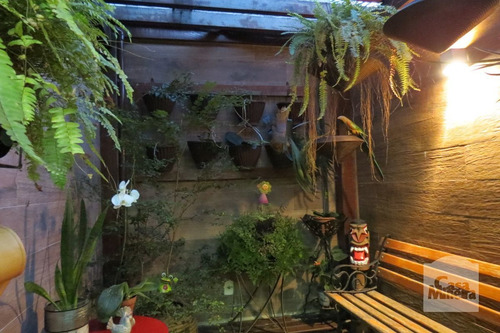 Imagem 3 de 15 de Apartamento À Venda No Santa Cruz - Código 267943 - 267943