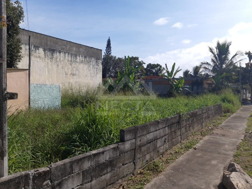 Imagem 4 de 6 de Terreno À Venda, 378 M², Porto Novo, Caraguatatuba/sp. - Te00543 - 69850633