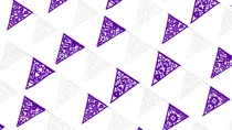 Comprar 10 Banderines De 8 Mts Papel Picado Banderín Morado-blanco