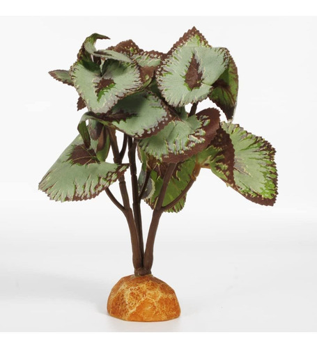 Woledoe Begonia Plants, Reptile Terrarium Decor, Crested Gec