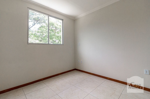 Imagem 8 de 15 de Cobertura À Venda No Santa Mônica - Código 274856 - 274856
