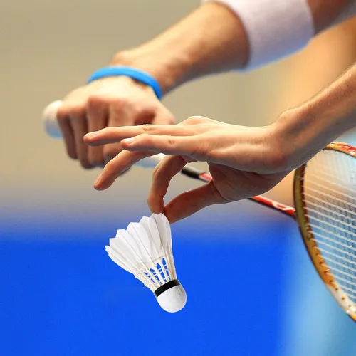 Volantes De Bádminton De Plumas Pelota De Bádminton De Alta