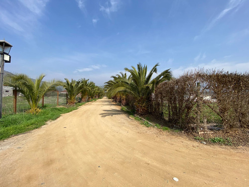 Imagen 2 de 20 de Sitio Con Vista En Isla De Maipo