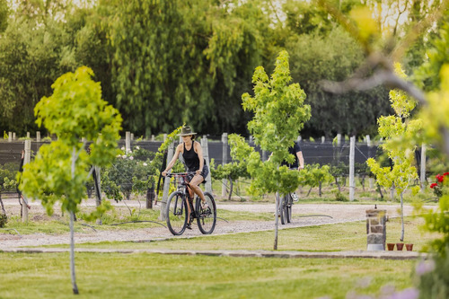 Lot E27 Algodón Wine Estates