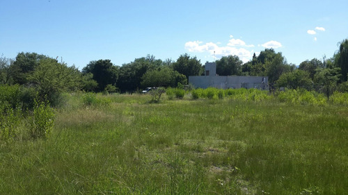 Vendo Dos Terrenos - 1000 M2 C/u En San Luis - Dueño Directo
