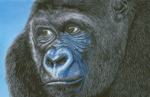 Pintura 39.4 X 25.6 In Diseño Gorila