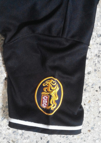 Imagen 3 de 7 de Franela Deportiva Leones Del Caracas De Caballero Talla Xl