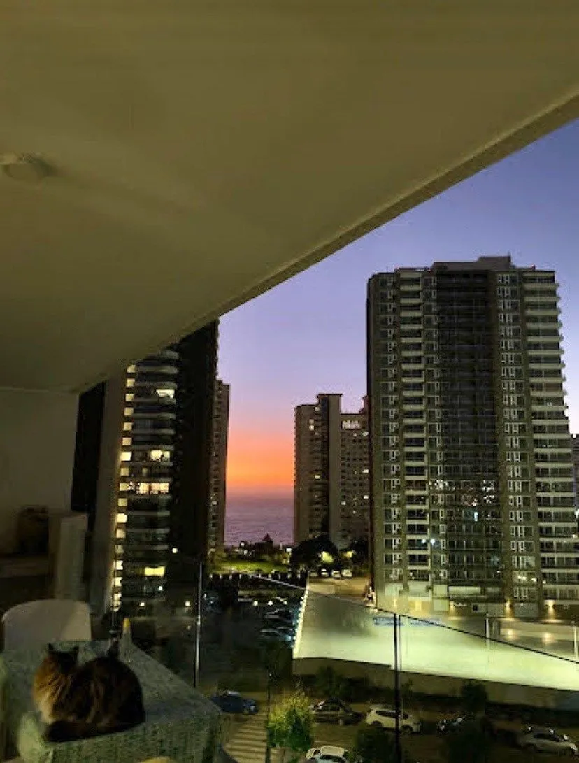 Imagen 1 de 16 de Arenales, Costa Montemar - Concón, 2d 2b, 47/62m2