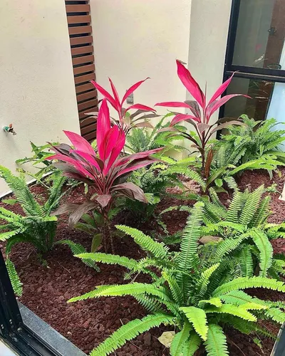 Casa En Venta Riviera Veracruzana
