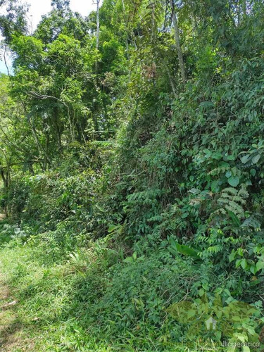 Imagem 5 de 8 de Terreno Para Venda Em Itapecerica Da Serra, Jardim Renata - 641_2-1449011