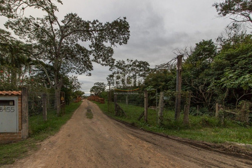 Terreno Em Ponta Grossa - El56354700