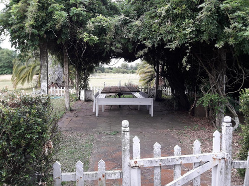 Campo - Open Door