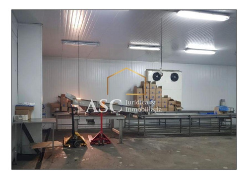 Galpón Y Ofocinas, Excelente Ubicación Comercial, Angol