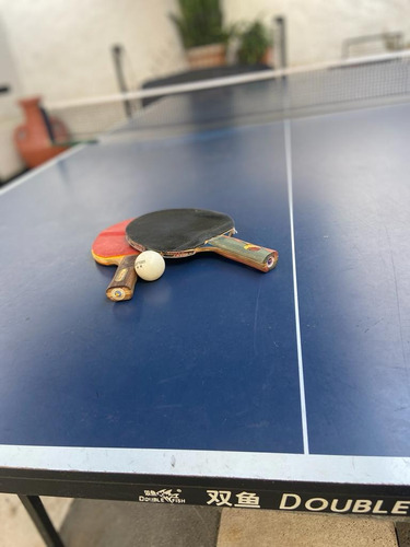 Mesa De Ping Pong Usada, Medidas Profesionales