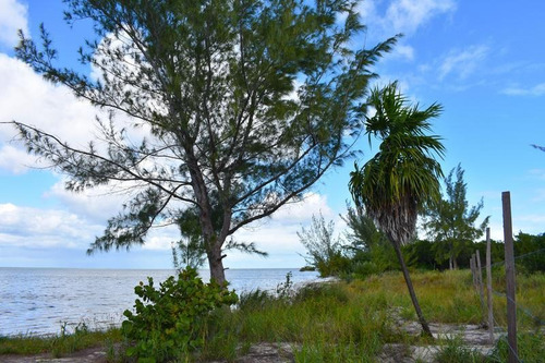 Imagen 6 de 10 de Terreno En Venta Isla Blanca En Laguna Chacmuchuc Cancún