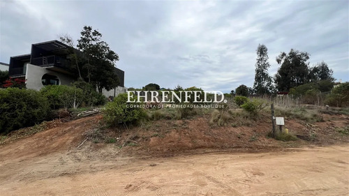 Terreno En Los Pinos De Reñaca, Viña Del Mar