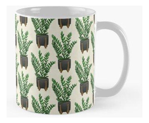 Taza Planta Zz Moderna En Pintura Negra Y Maceta De Teca Cal