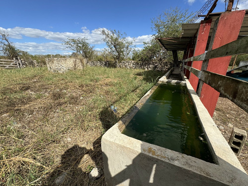 Ranchito Para Desarrollo De Proyecto