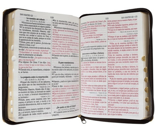 Imagen 4 de 8 de Biblia Rvr1960 Let Gde Imit Piel León Café Cierre Con Índice