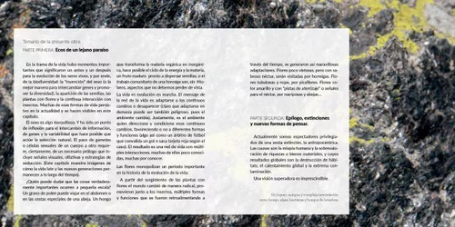 Invencion Del Sexo Y La Evolucion De La Vida, De Volkmann Luis Rafael., Vol. Unico. Editorial Ecoval, Tapa Blanda, Edición Primera En Español, 2023