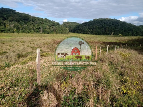 Imagem 14 de 20 de Fazenda À Venda Com 80 Alqueires Paulista No Vale Do Ribeira-sp Ref.: 0858