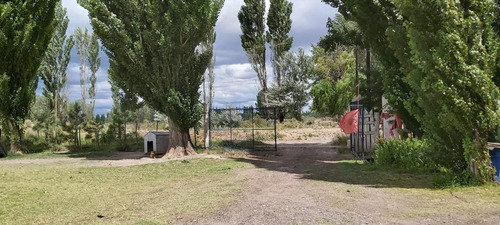 Imagen 20 de 25 de Venta Chacra Casa 2 Dormitorios Galpón - Picun Leufú Neuquén