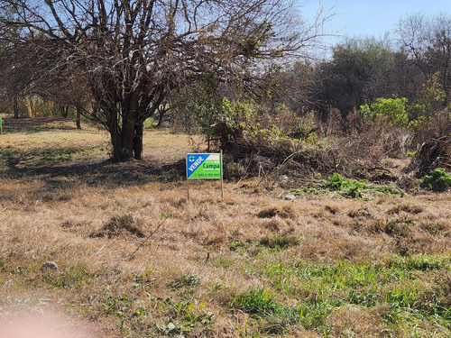 Terreno En Puigari