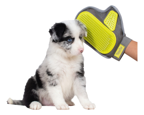 Guante Removedor De Pelo Para Perros Y Gatos Petunius. Color Gris