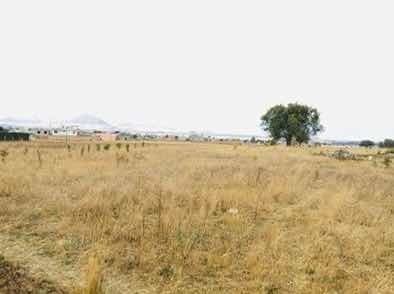 Imagen 4 de 5 de Lotes A 10 Min De Paideia Propiedad Desde 230 M En Adelante.