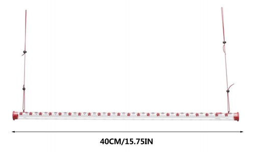 El Mejor Comedero Para Colibríes Con Agujero, Transparente