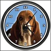 Comprar Signmission Bassett Hound Wall Reloj Dog Dogie Pet Raza Rega