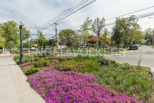 Moderno Y Ecológico - Plaza Dinamarca