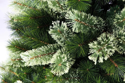 Árvore Pinheiro De Natal Luxo Verde Nevada 2,40m 704 Galhos | Parcelamento  sem juros