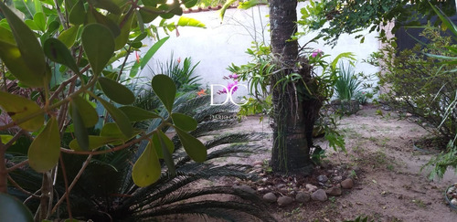 Imagem 24 de 28 de Casa - Ca00831 - 70715879
