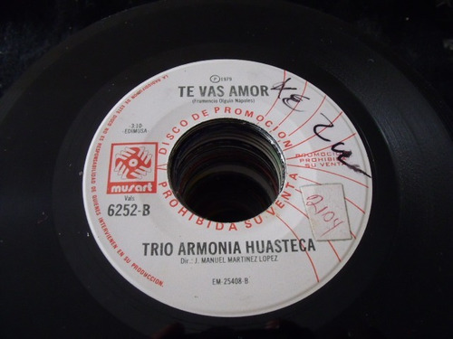 Ep Trio Armonia Huasteca, Te Vas Amor