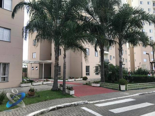 Apartamento Com 2 Dormitórios Sendo 1 Suíte, Para Alugar, 62 M² - Jardim Augusta - São José Dos Campos/sp - Ap2143