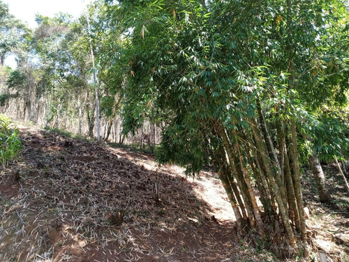 Chácara Com Nascente E Cachoeira Em Nazaré Paulista!