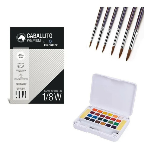 Imagen 3 de 9 de Kit De Acuarelas Profesionales X24 + 7 Pinceles + Block