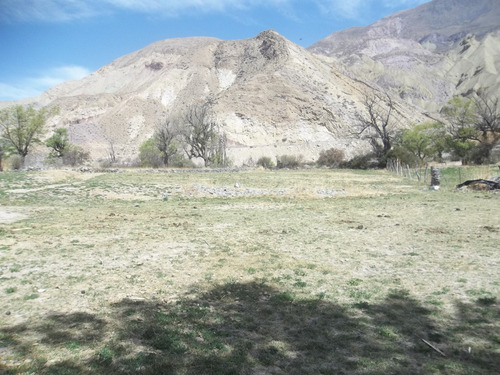 Purmamarca Terrenos Y Fincas