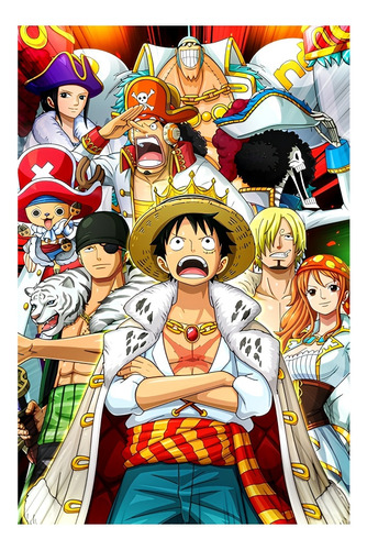 One Piece Serie Póster 48x33cm 