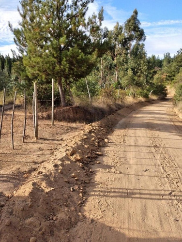 Venta De Parcela En Pencahue, Talca Sector Montecillos