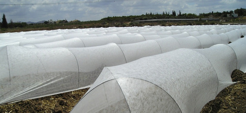 Tela Manta Térmica Antihelada Plantas Invierno 1,40 X 50 Mts