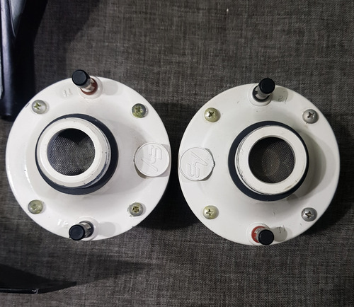 Drivers Con Difusor Electro Voice T25a (Usado)